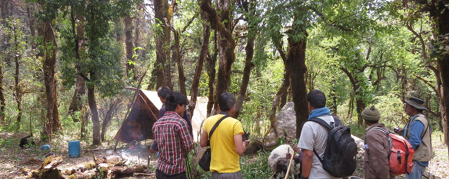 Evaluating Loss of Livestock due to Predation